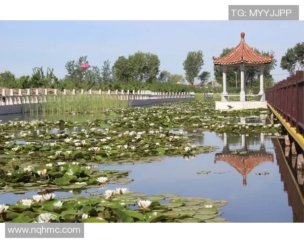 水泥厂退出,西涅生态环境迎来新变化,成为生态休闲度假胜地 水泥厂退出,西涅生态环境迎来新变化,成为生态休闲度假胜地